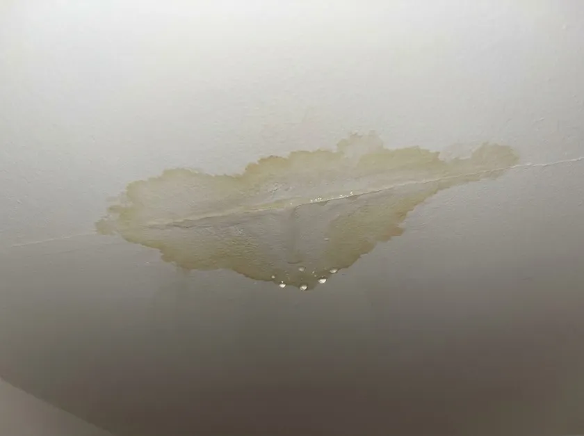 Leaks Affecting Interior Spaces​